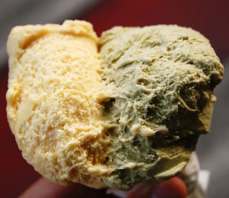 Food blog about Bologna, Emilia Romagna Taste Bologna