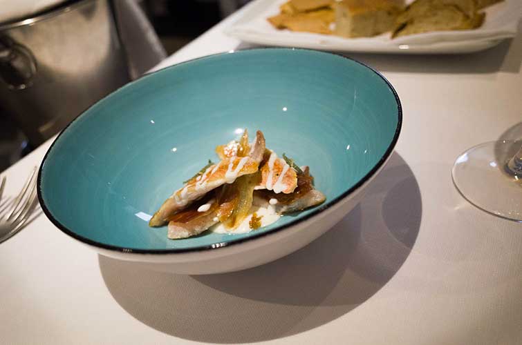 Where to eat in Bologna if you are vegetarian Taste Bologna