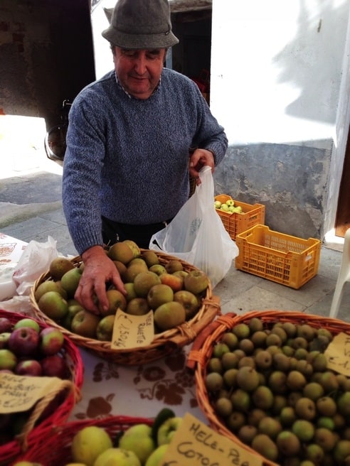 Photo of pears