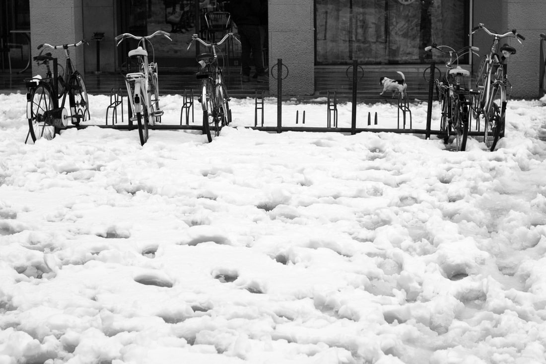 Bologna snow 2015 - Bikes