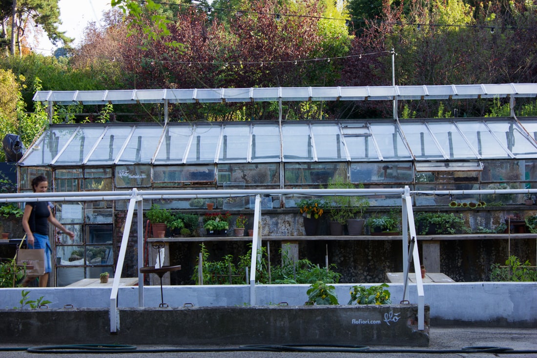 Le Serre dei Giardini Margherita Bologna - Old green houses