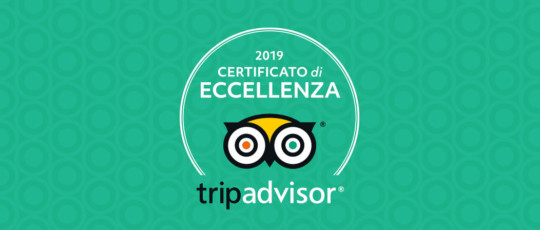 Tripadvisor certificate excellence 2019 orig