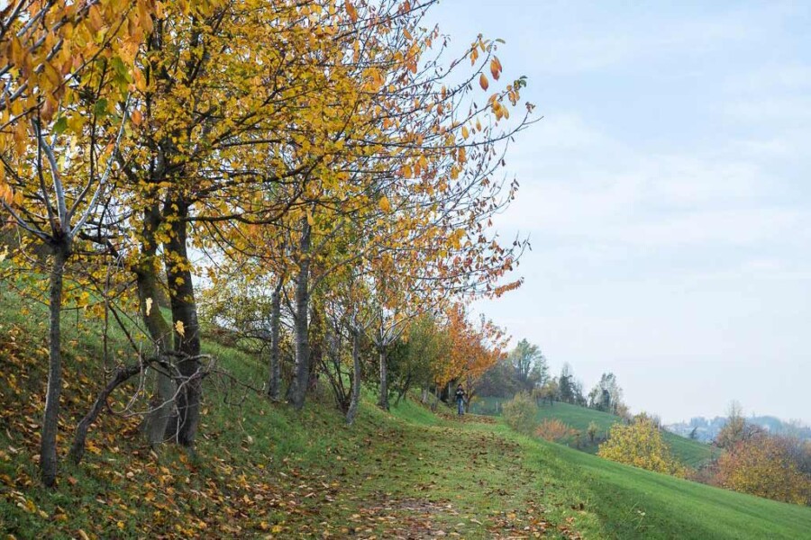 Bologna park villa ghigi