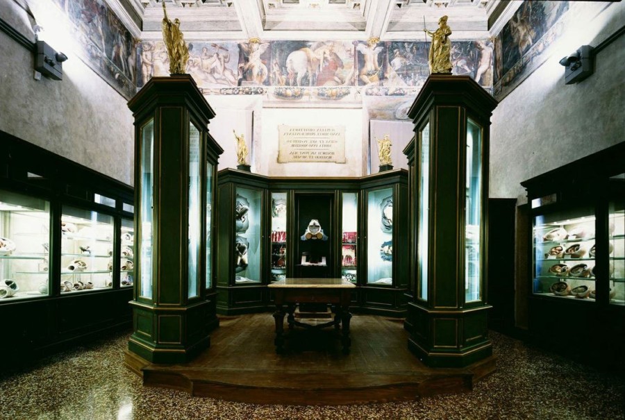 Emilia romagna museum museo palazzo poggi obstetrics room orig