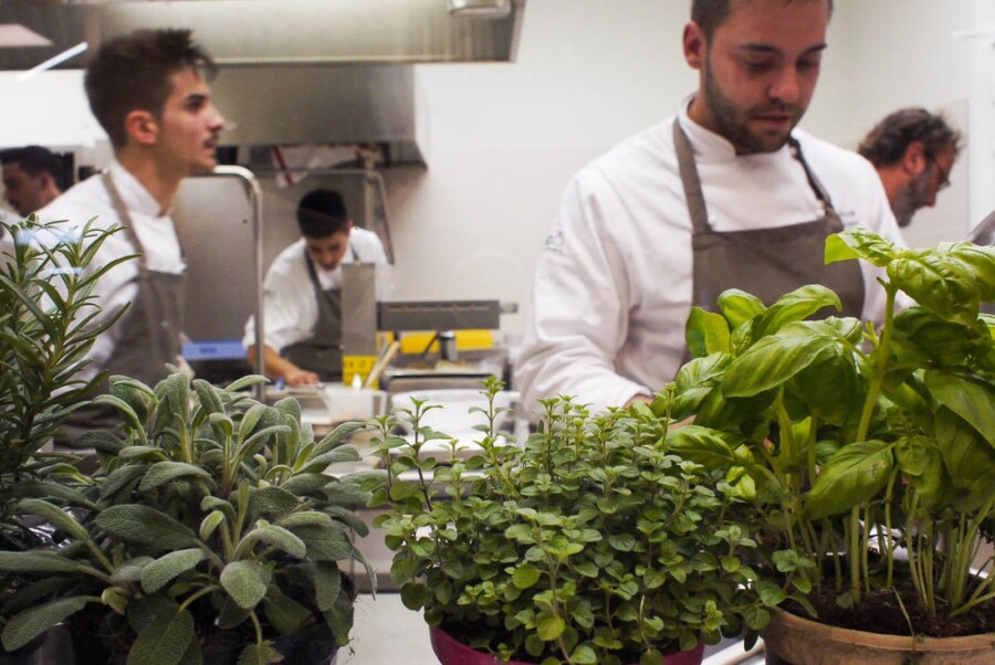 Fico bologna - Chef