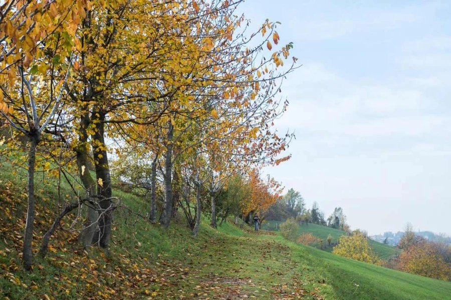 Bologna park villa ghigi