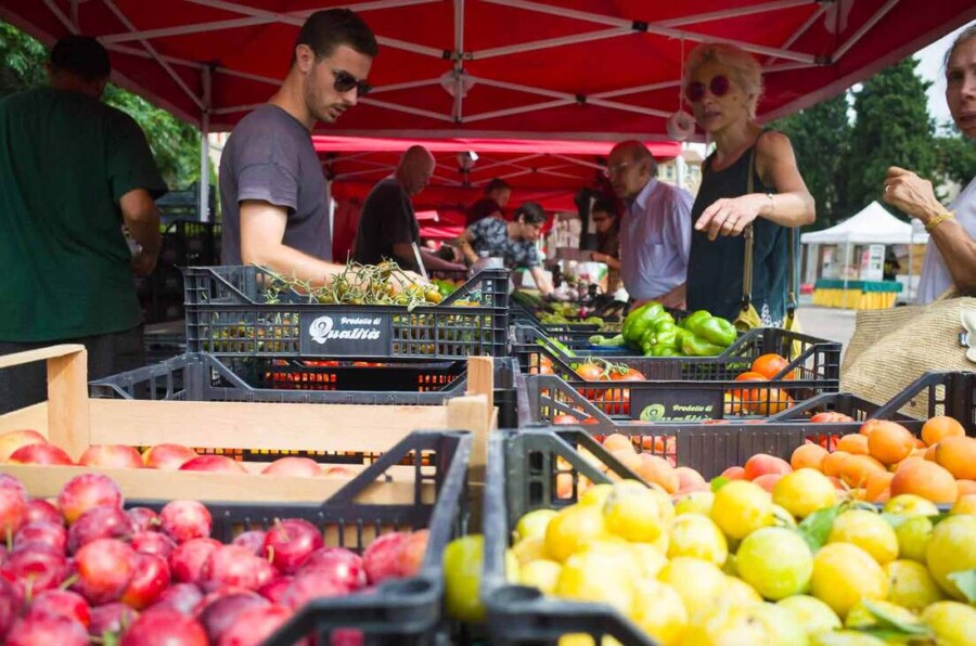 Bologna food markets - Mercato Novale