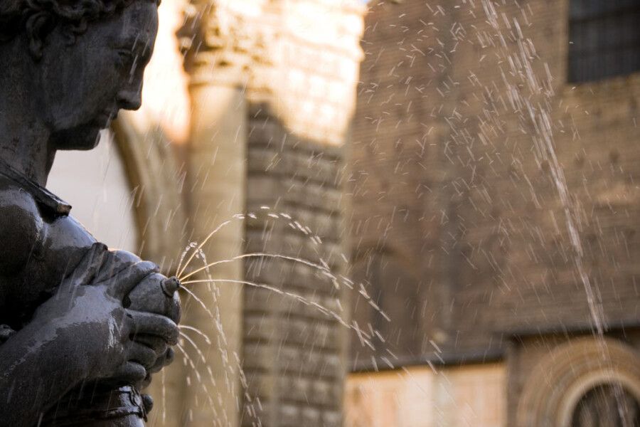 Bologna neptune fountain detail 2 orig