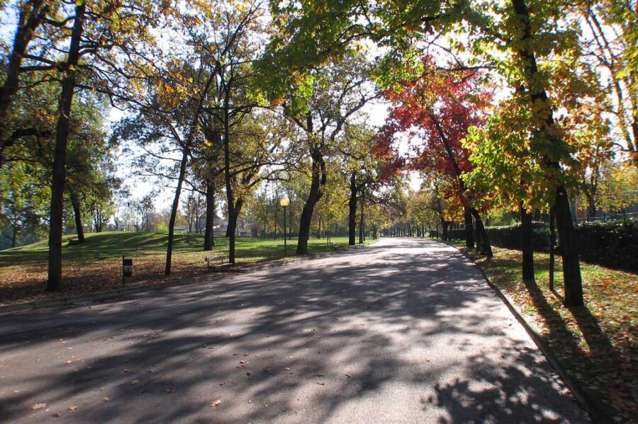 Bologna parks giardini margherita