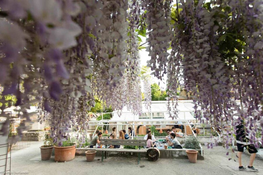 Bologna summer