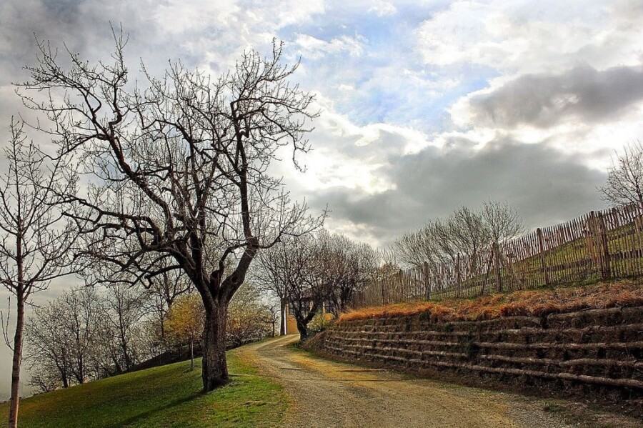 Best walks in Bologna