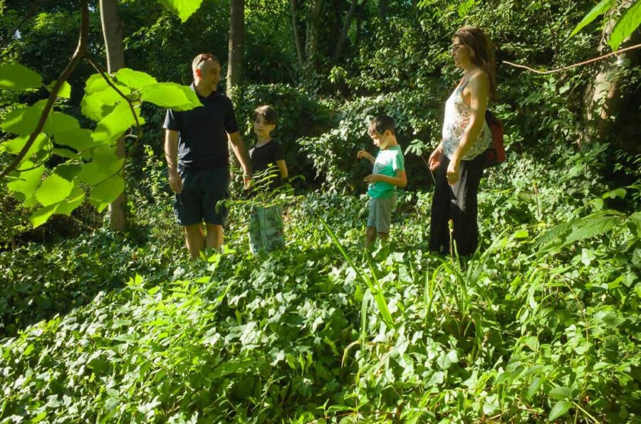 Bologna with kids - Botanic Garden