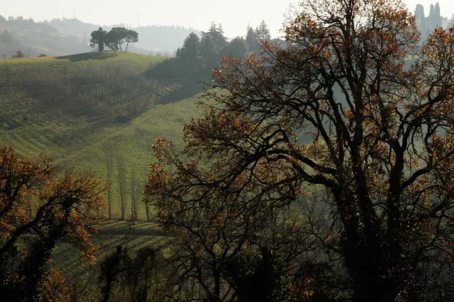 Free activities in Bologna - Villa Ghigi