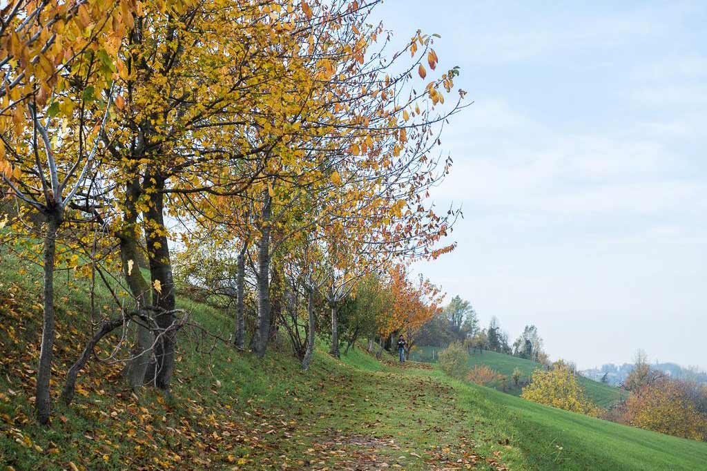 Villa Ghigi Park in Bologna during autumn foliage