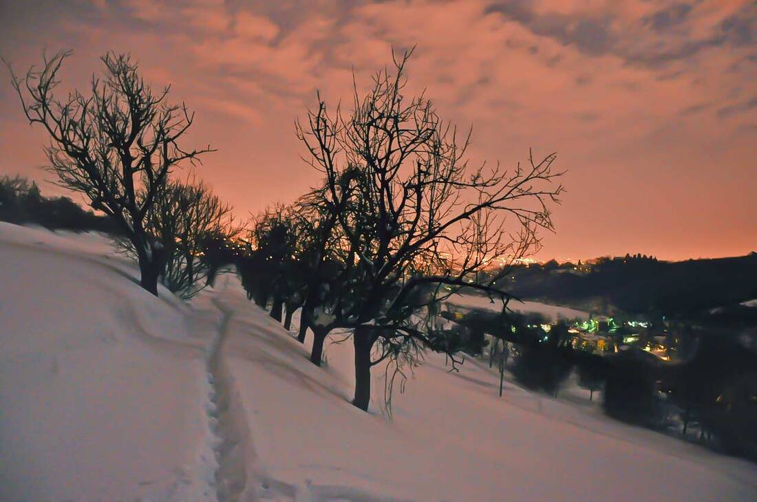 Villa Spada park with snow in Bologna