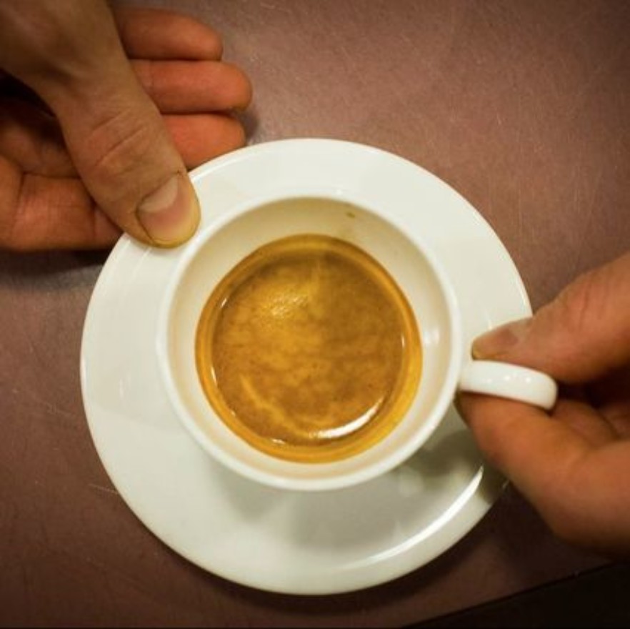 Taste Bologna Bologna Food Tour