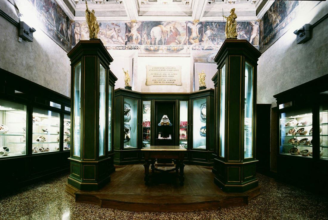 Museum in Emilia Romagna - Museo di Palazzo Poggi