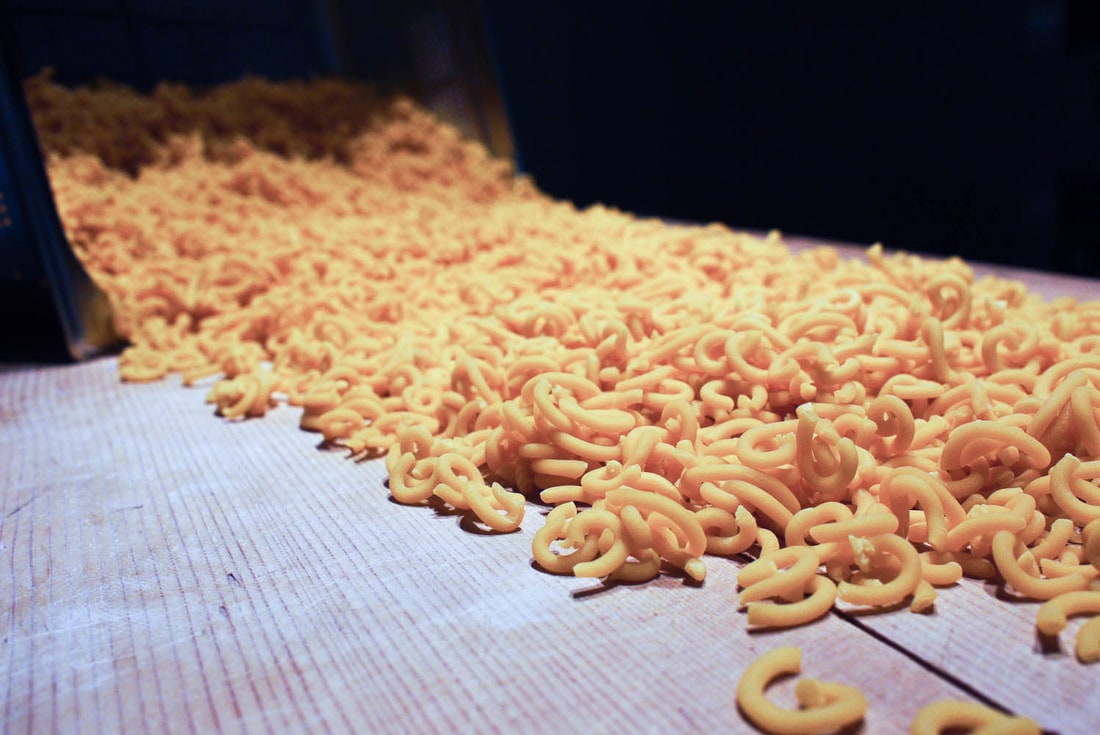 FICO - Eataly World Bologna - Gramigna, one of the most typical bolognese pasta at Antica Ardenga