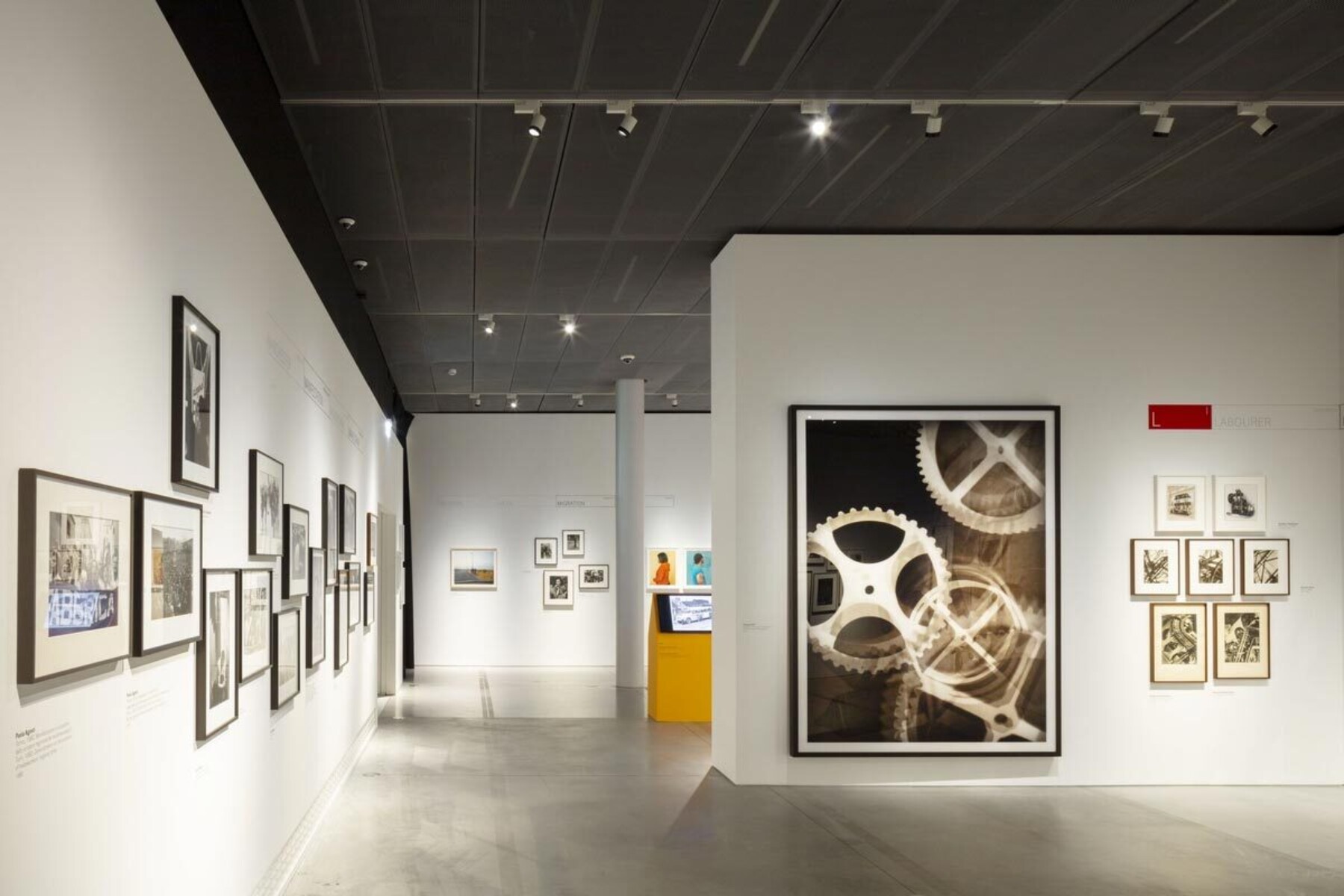 The best exhibitions you can admire in Bologna and Emilia Romagna