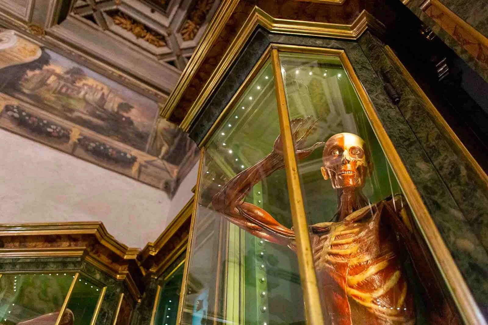 Private University and History Tour Bologna