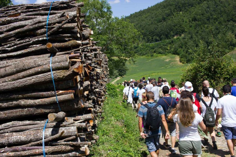 Food festivals in Bologna Plan your trip around the Sagra Taste Bologna