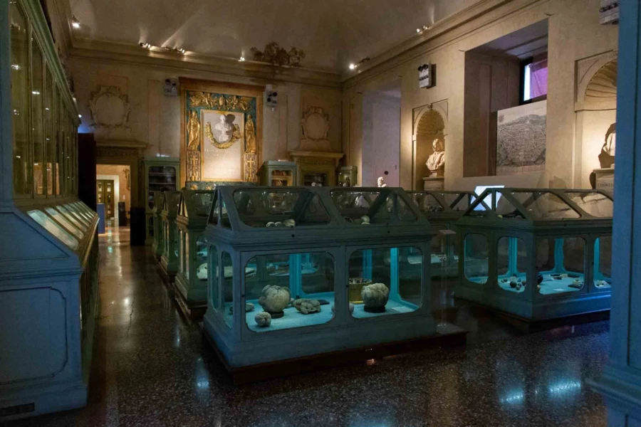 Palazzo Poggi Museum