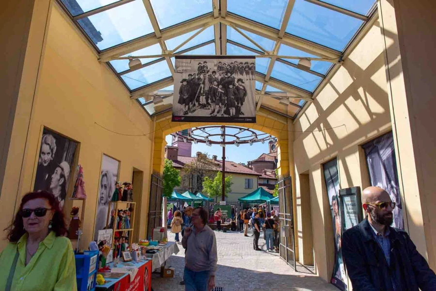 Mercato Ritrovato Bologna Cinema