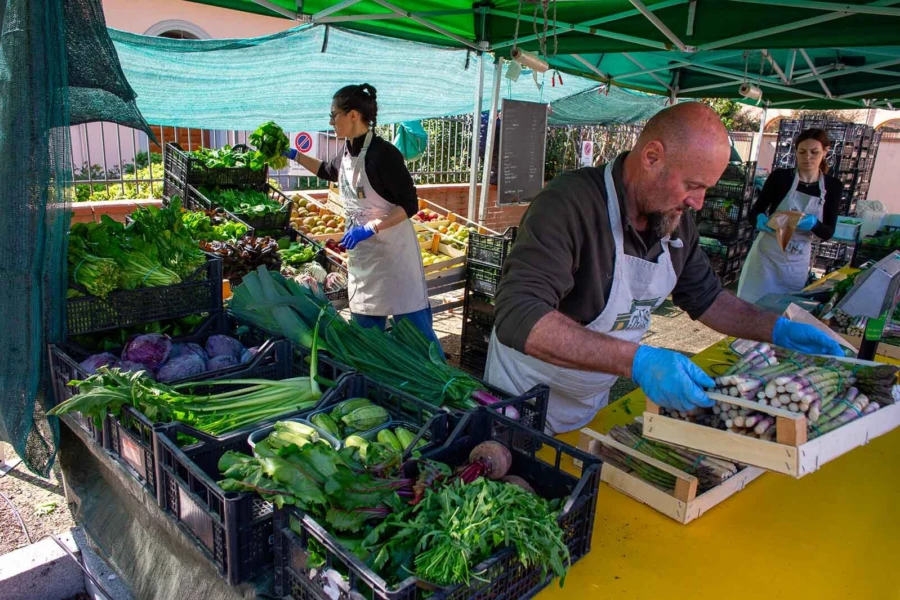 Mercato Ritrovato Bologna Farmers Market