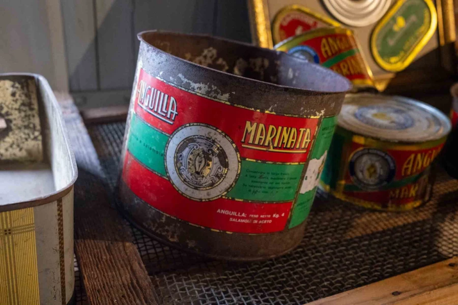 Tin of marinated eel at the museum Manifattura dei Marinati