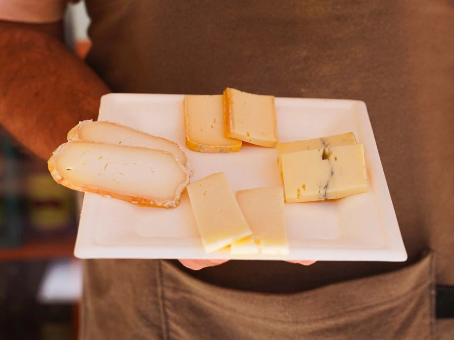Scovami bologna