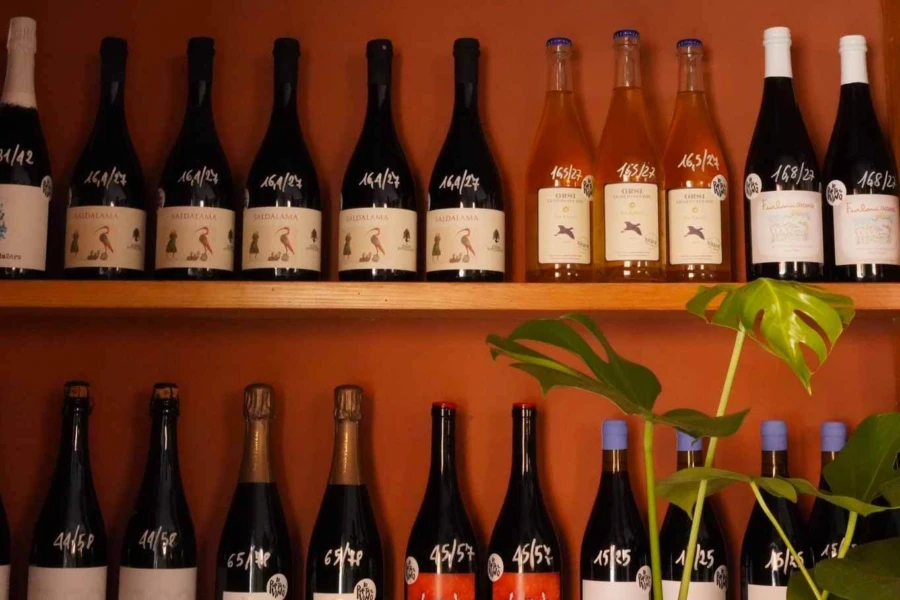 Bottles of Bologna wines