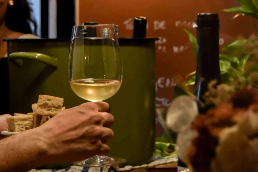 Bologna wine tasting - Pignoletto