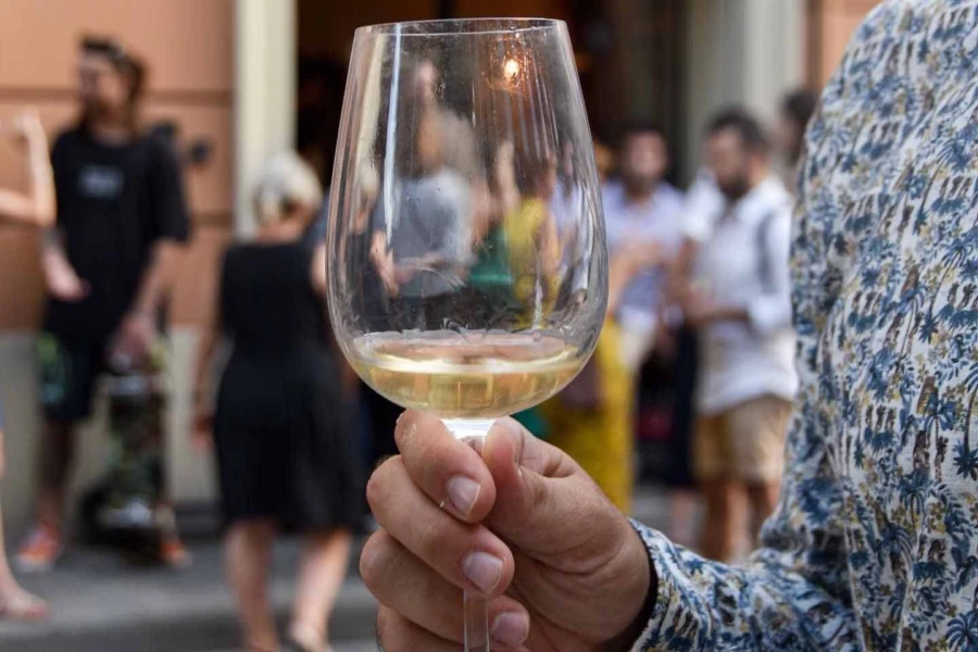 Wine tasting in Bologna