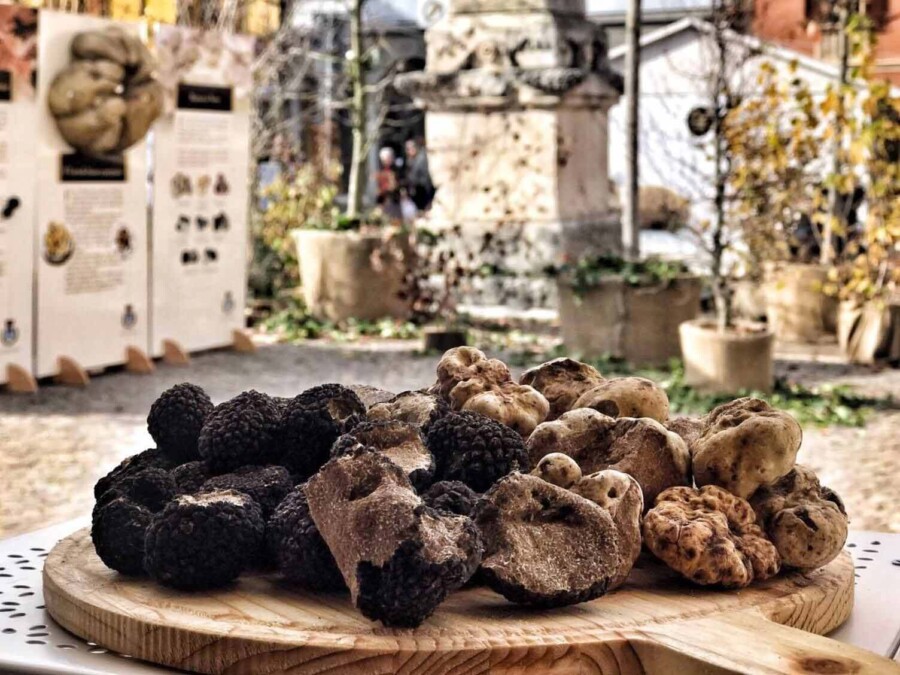 Bologna food festival Savigno Truffle