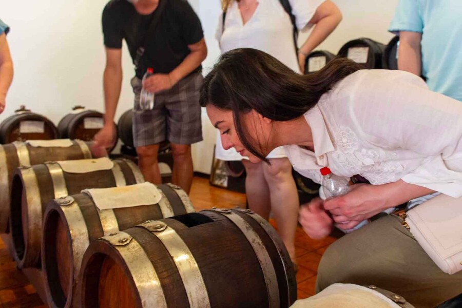 Modena food tour acetaia