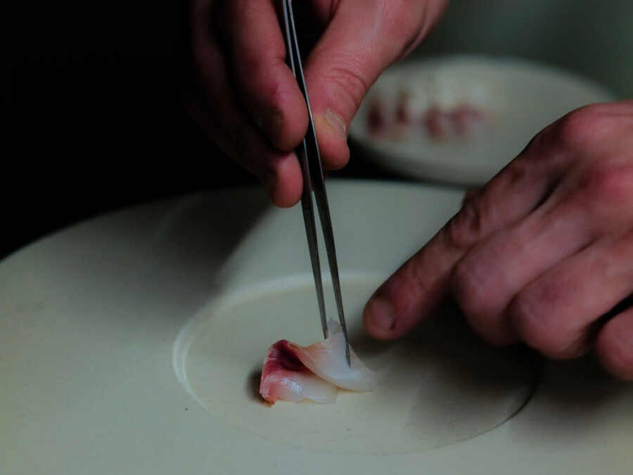 Sushi bologna